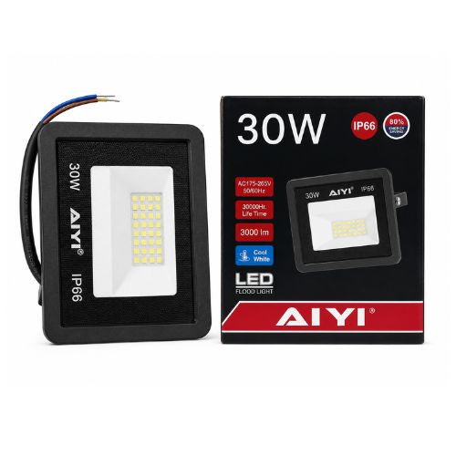 30W Flood Light